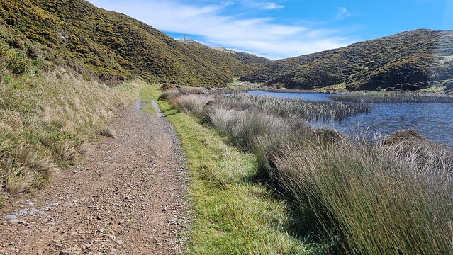 Kohangatera Track, Pencarrow Head