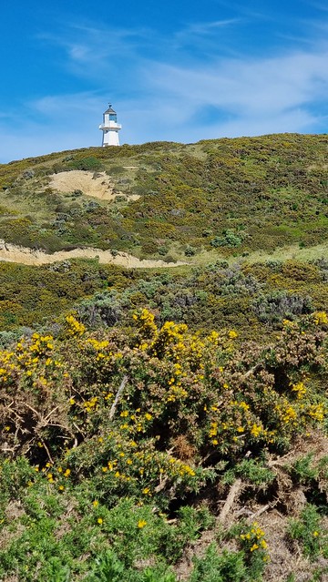 Kohangatera Track, Pencarrow Head