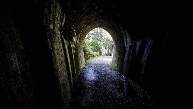 Remutaka Cycle Trail