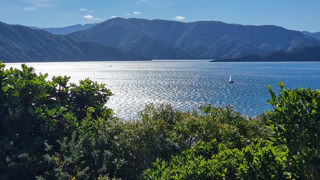 Queen Charlotte Sound