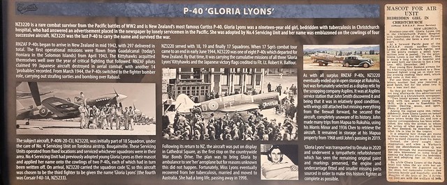 P40 Omaka Aviation Heritage Centre