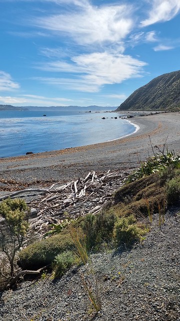 Pencarrow Coastal Trail
