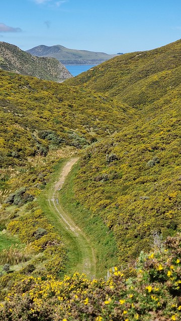 Kohangatera Track, Pencarrow Head