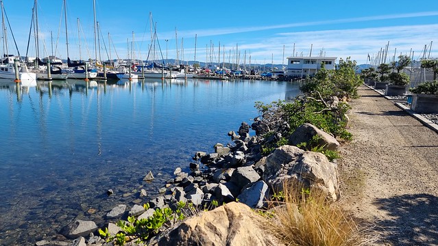 Seaview Marina