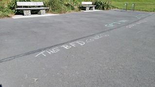 Anti-or Pro Vax, Hutt River Trail, Trentham, Upper Hutt