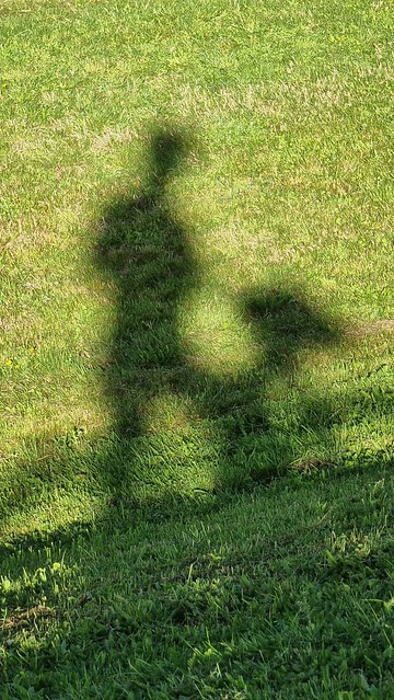 Evening, Hutt River Trail, Lower Hutt