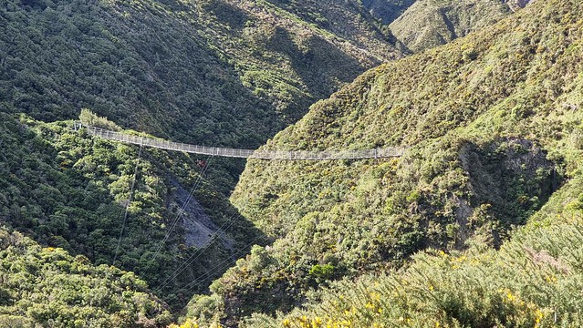 Remutaka Cycle Trail Siberia Gully swing bridge