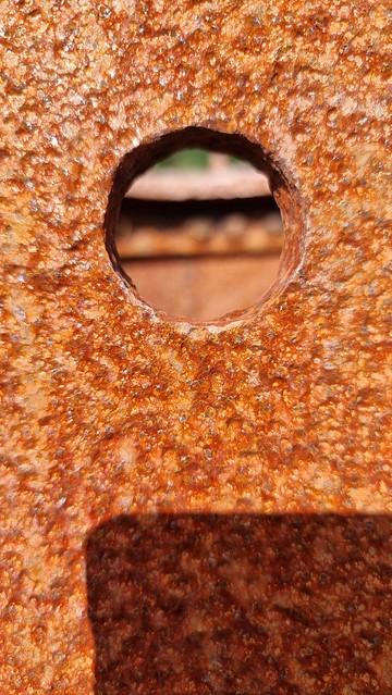 Remutaka Cycle Trail Summit