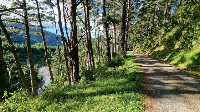 Remutaka Cycle Trail