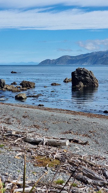 Pencarrow Coastal Trail to Owhiro, and South Island beyond