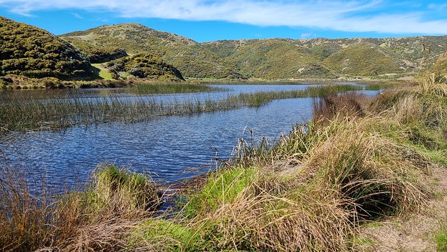 Lake Kohangatera, Pencarrow Head