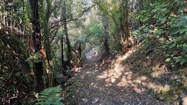 Hutt River Trail, Upper Hutt