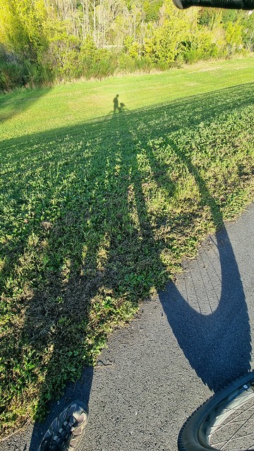 Evening shadows, Hutt River Trail, Lower Hutt
