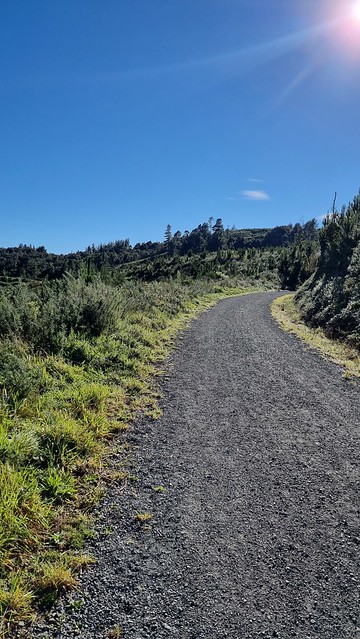 Remutaka Cycle Trail