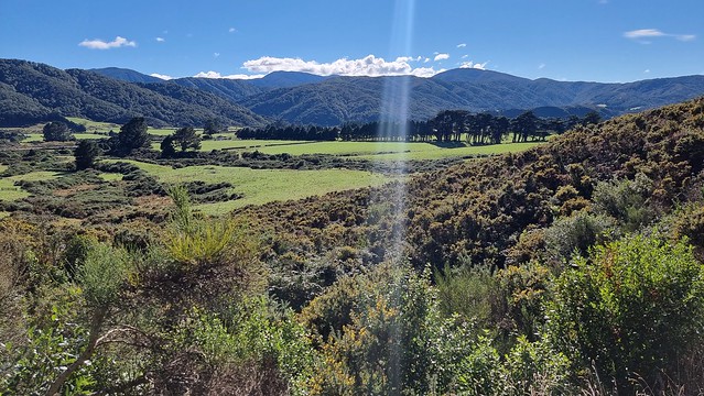 Remutaka Cycle Trail view