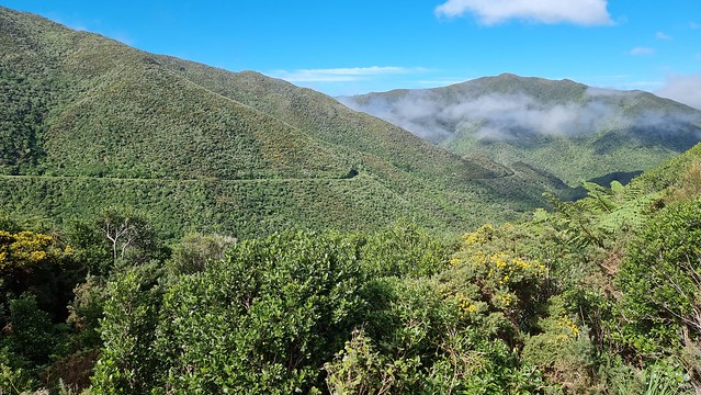 Remutaka Cycle Trail Siberia Gully
