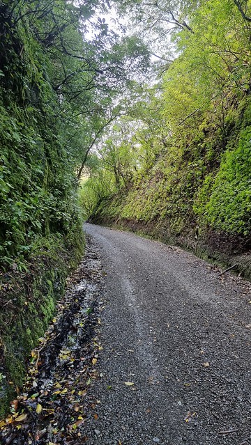 Remutaka Cycle Trail