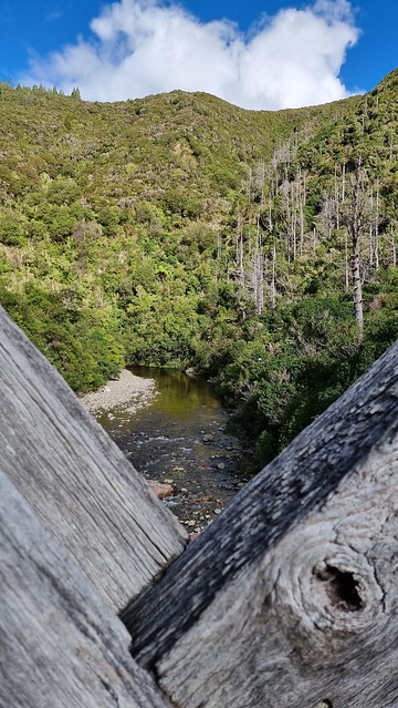 Remutaka Cycle Trail