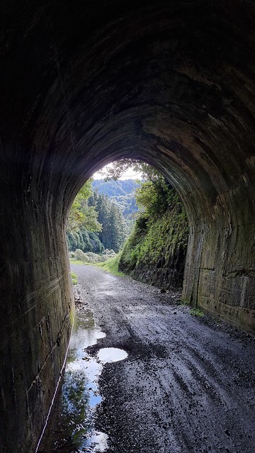 Remutaka Cycle Trail tunnel