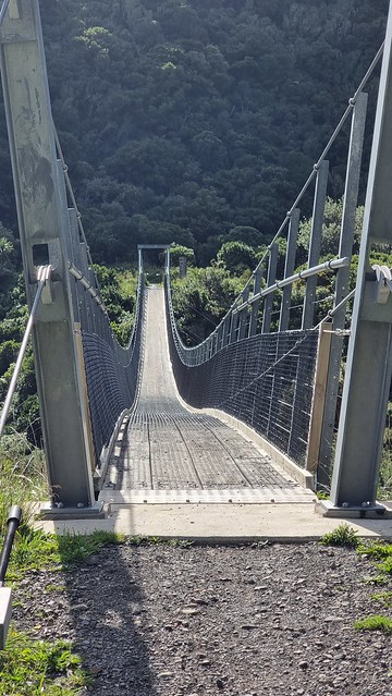 Remutaka Cycle Trail Siberia Gully swing bridge