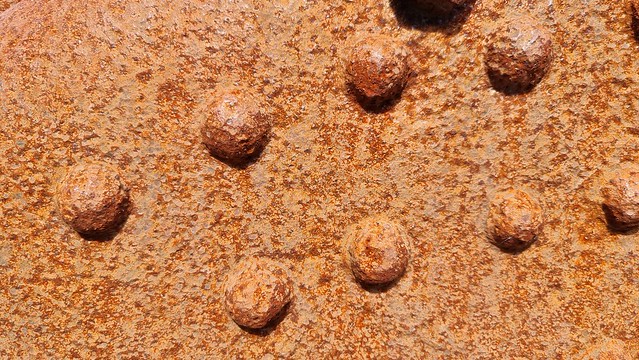 Remutaka Cycle Trail Summit