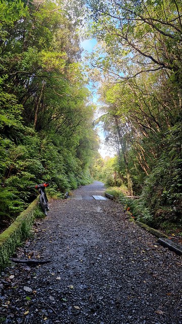 Remutaka Cycle Trail Summit Tunnel 500m