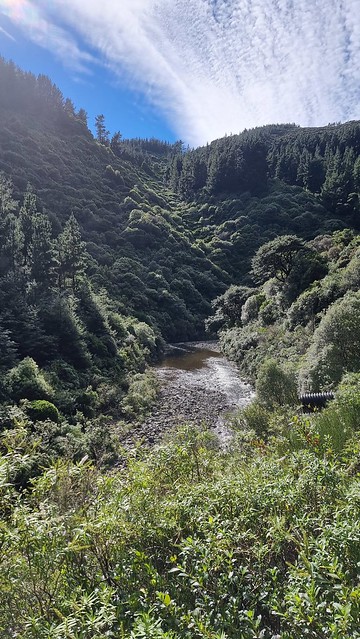 Remutaka Cycle Trail