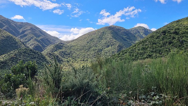 Remutaka Cycle Trail towards Siberia Gully