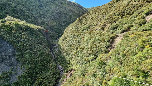 Remutaka Cycle Trail Siberia Gully swing bridge view