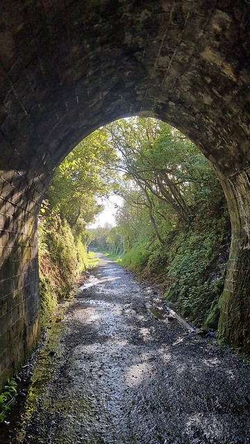 Remutaka Cycle Trail 221m Maymorn tunnel