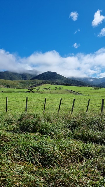 Remutaka Cycle Trail Remutaka Views