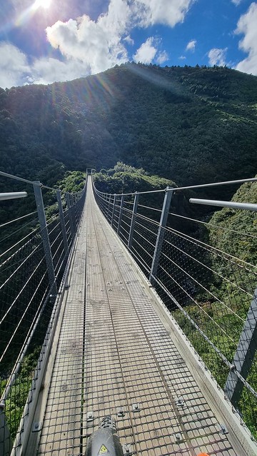 Remutaka Cycle Trail Siberia Gully swing bridge