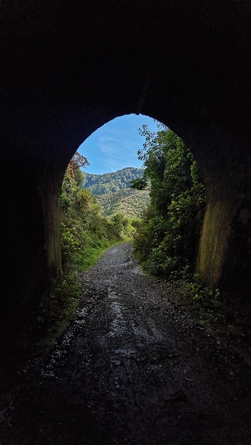 Remutaka Cycle Trail