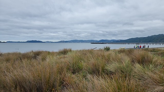 Petone foreshore towards Wellington City
