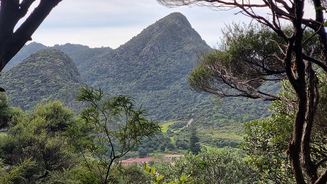 Gibbons Track, Whatipu