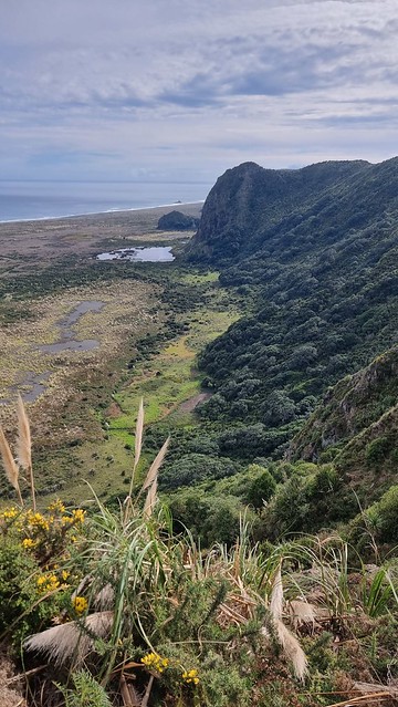 Gibbons Track, Whatipu, Karekare view