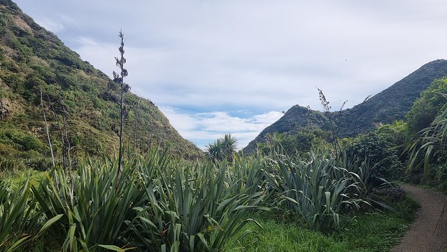 Pararaha Valley, Whatipu