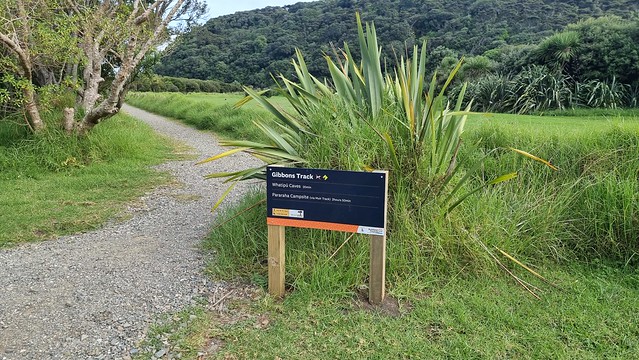 Gibbons Track, Whatipu