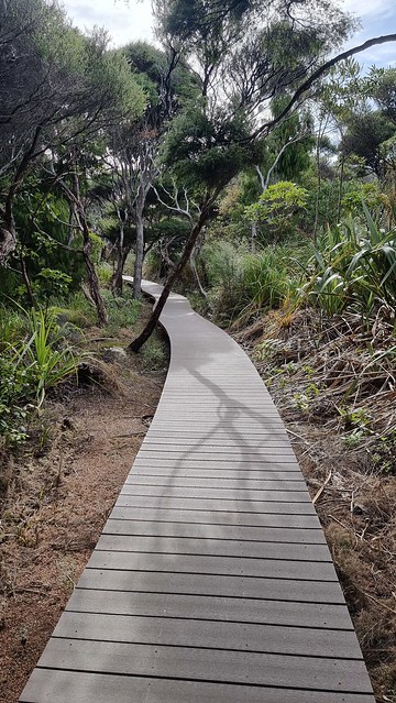 Gibbons Track, Whatipu