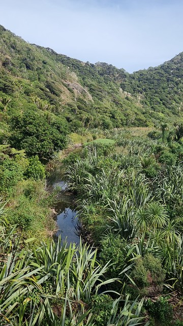 Pararaha Valley, Whatipu