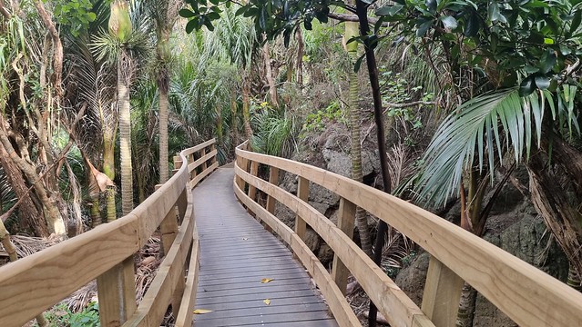 Pararaha Valley, Whatipu