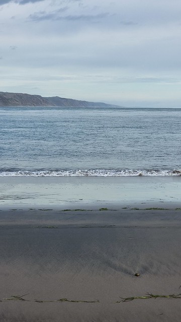 Whatipu Beach Manukau Harbour entrance
