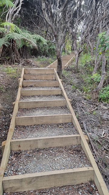 Gibbons Track, Whatipu