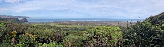 Gibbons Track, Whatipu