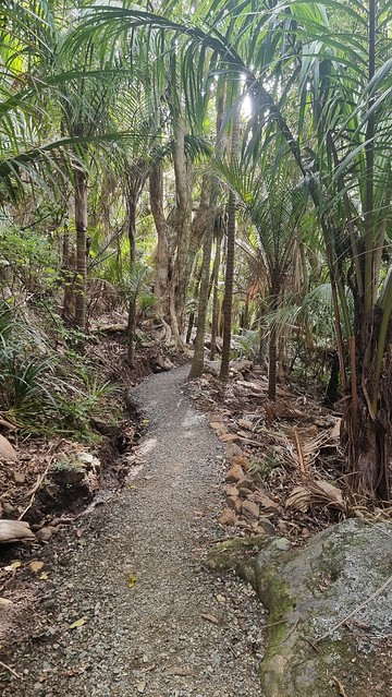 Muir Track, Whatipu