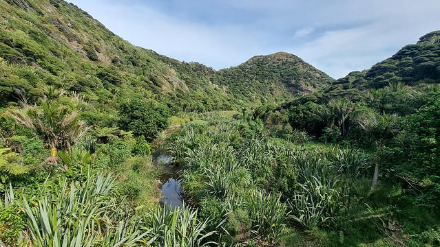 Pararaha Valley, Whatipu