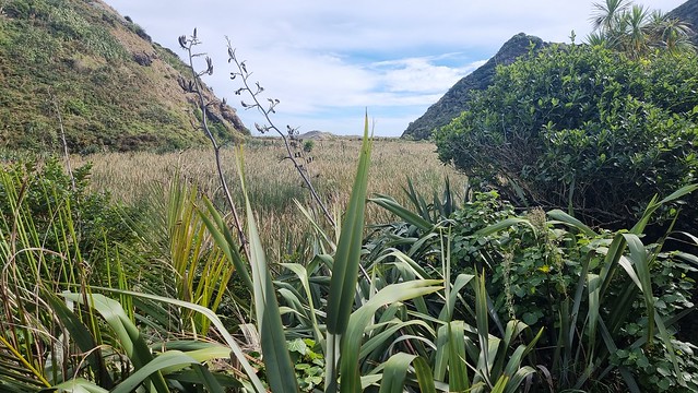 Pararaha Valley, Whatipu