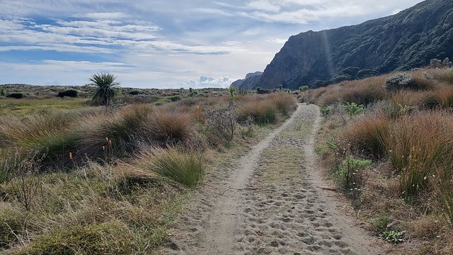 Pararaha Valley, Whatipu