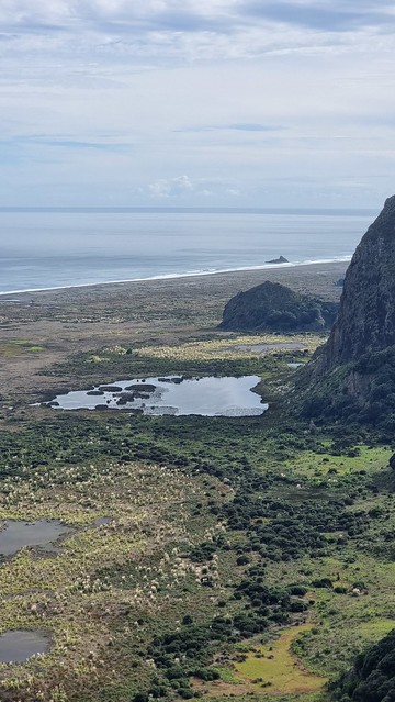 Gibbons Track, Whatipu