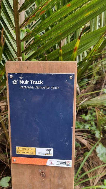 Muir Track, Whatipu